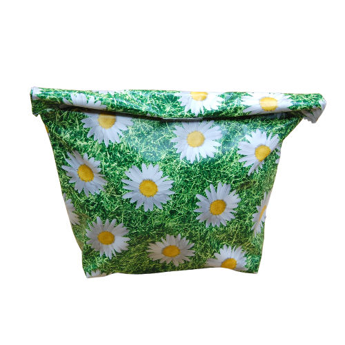 Lunch and Snack Bags