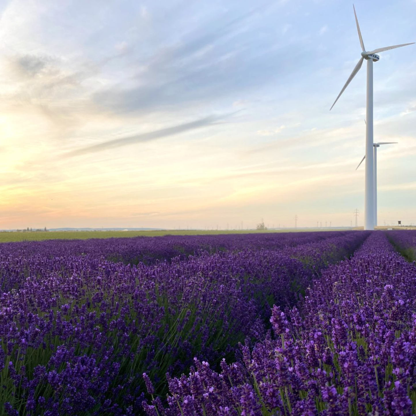 Duftspray Innere Ruhe 100ml von Nani