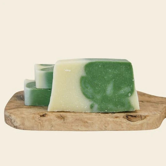 Avocado und Eukalyptusöl Seife von Naturotheke
