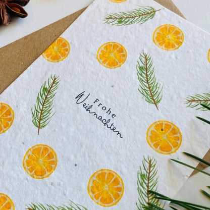Einpflanzbare Weihnachtskarte Orangen und Zweige von Blühwerk Papeterie