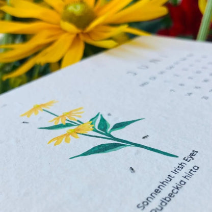 Einpflanzbarer Tischkalender Kräuter und Blumen von Blühwerk Papeterie