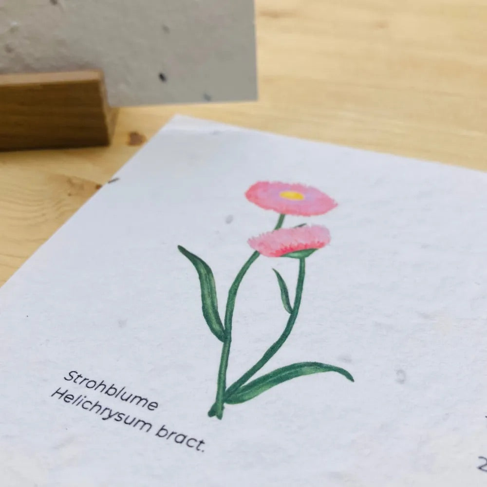 Einpflanzbarer Tischkalender Kräuter und Blumen von Blühwerk Papeterie